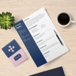 How to Create a Professional CV